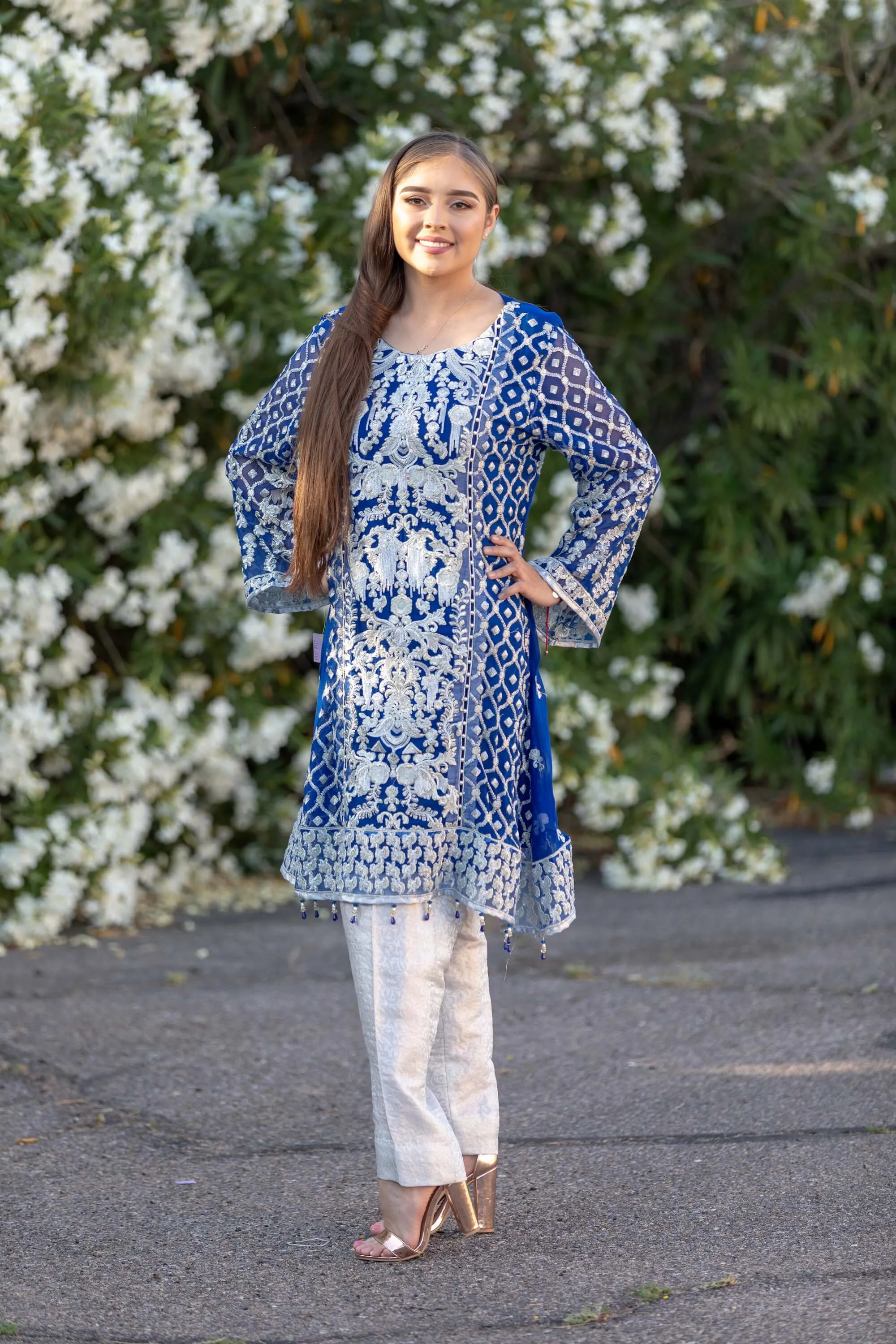 Blue Chiffon Embroidered Suit