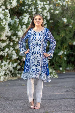 Blue Chiffon Embroidered Suit