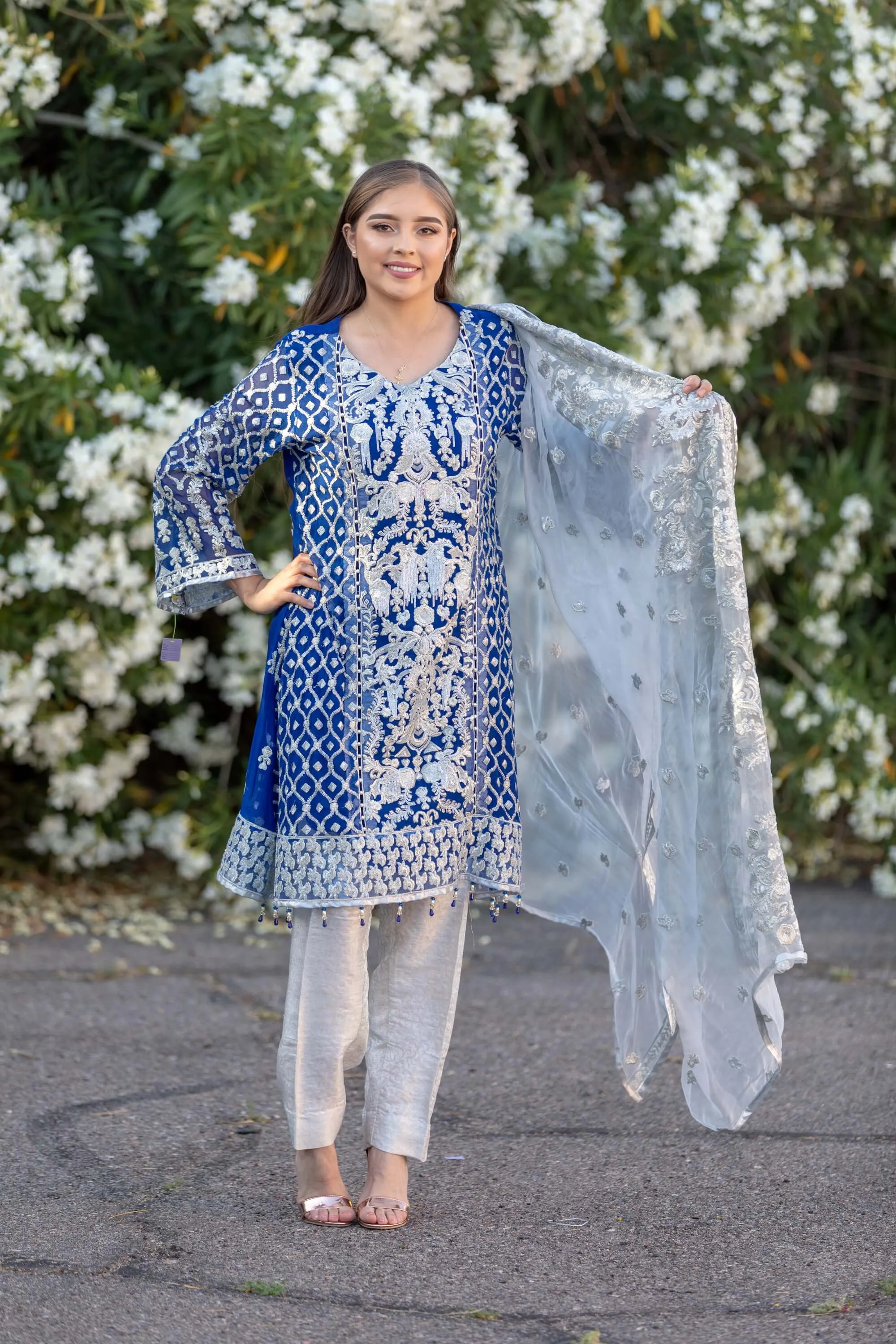 Blue Chiffon Embroidered Suit