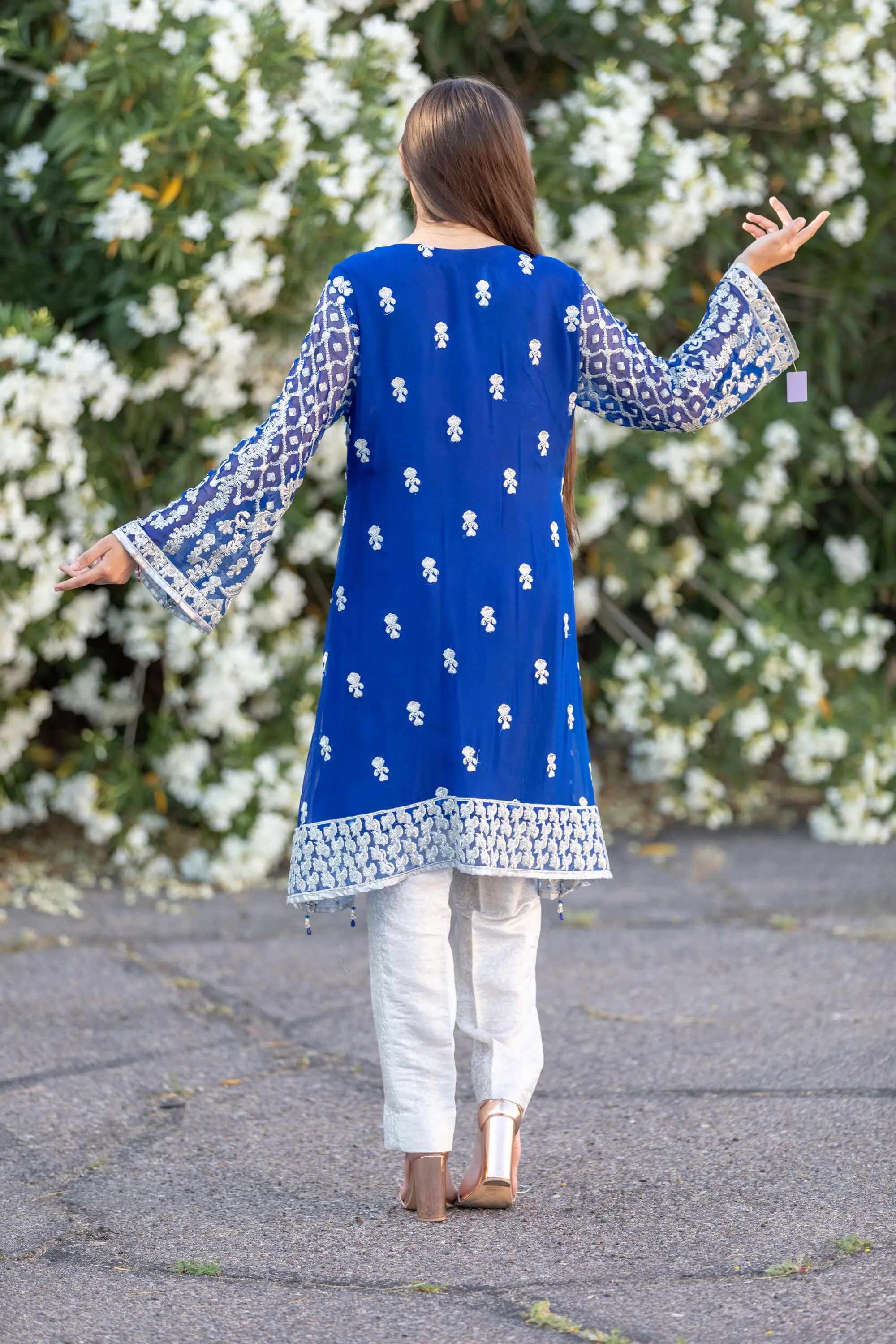 Blue Chiffon Embroidered Suit