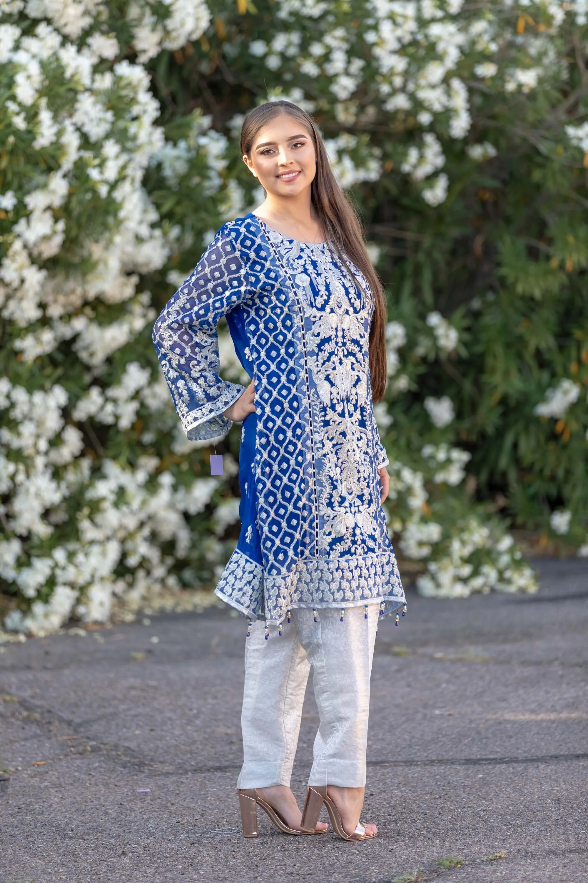 Blue Chiffon Embroidered Suit