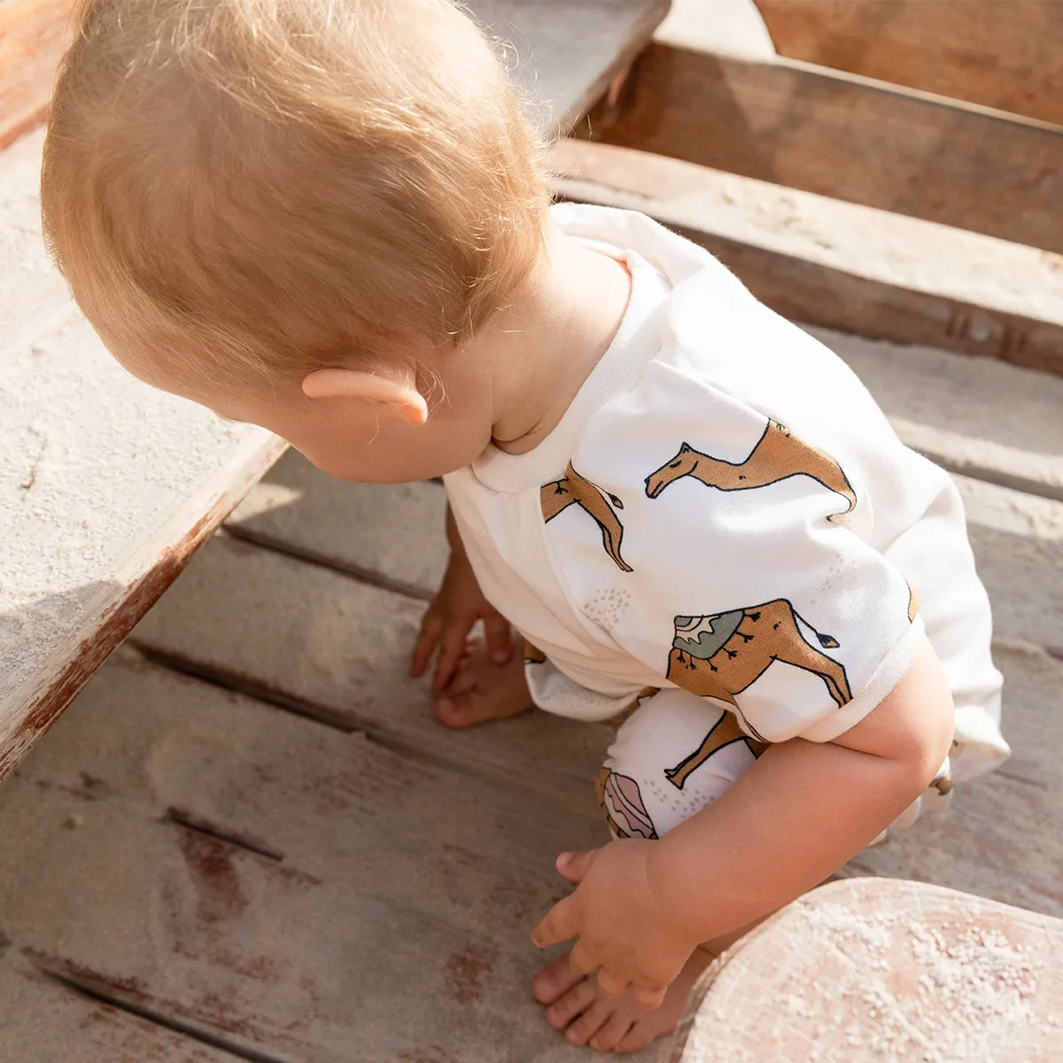 Camel Cream