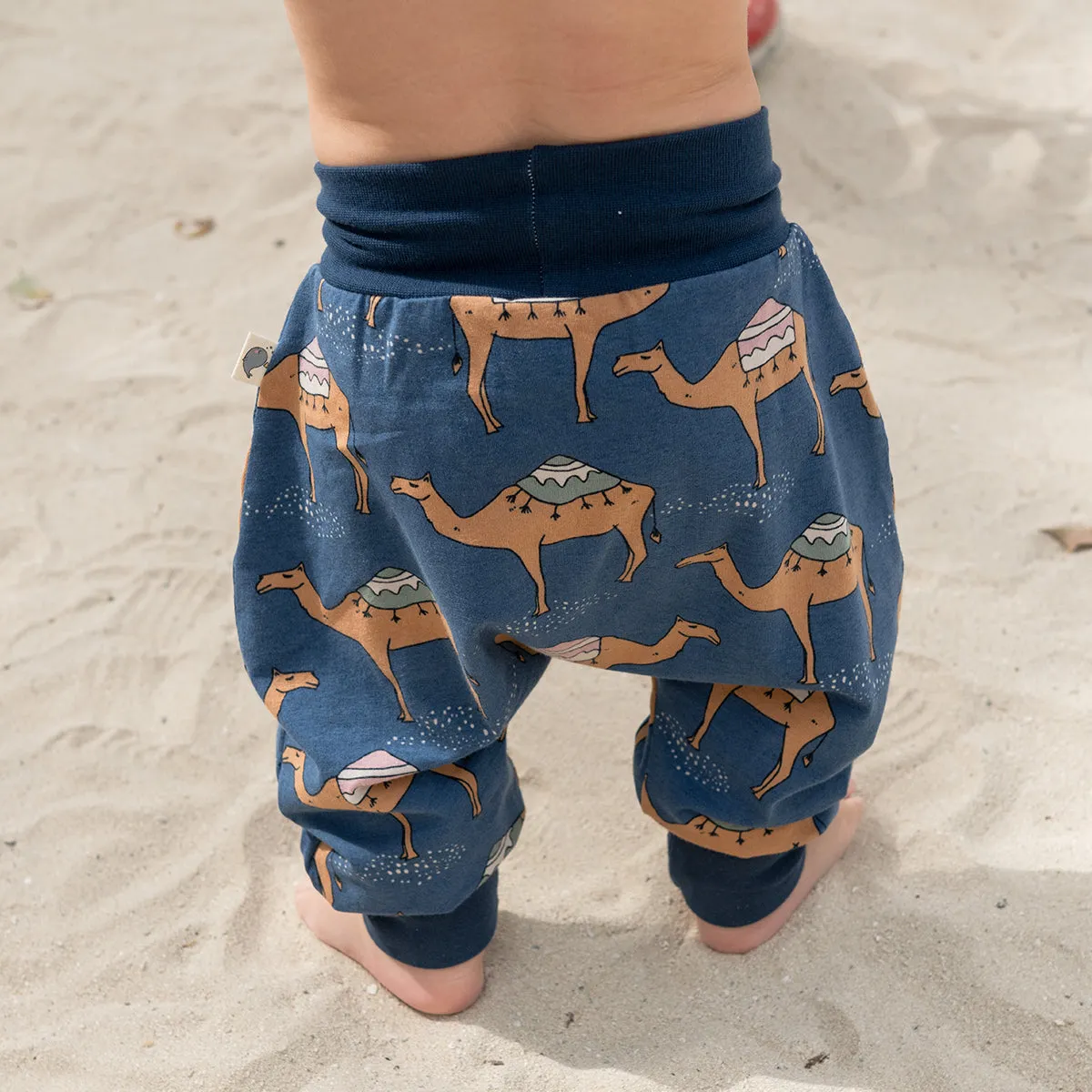 Camel Navy