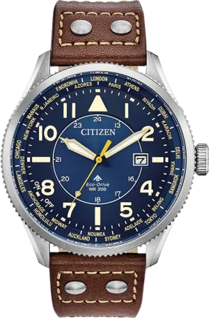 Citizen Eco Drive Promaster Nighthawk Men's Watch BX1010-11L