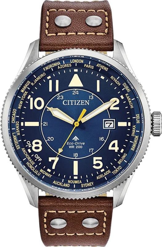 Citizen Eco Drive Promaster Nighthawk Men's Watch BX1010-11L