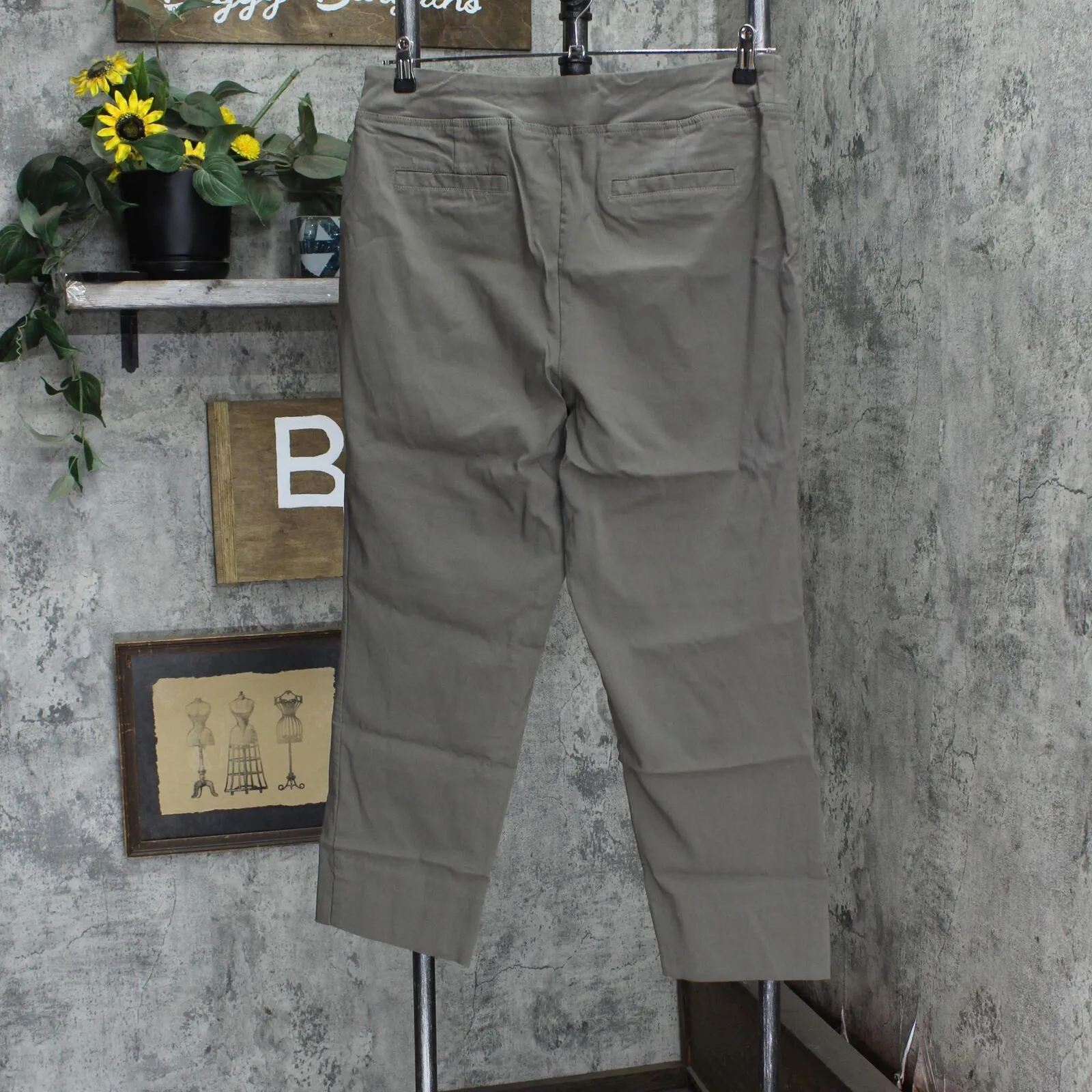 Dalia Womens Elastic Waist Pull On Pants 166706ce9499dd Green See Measurements