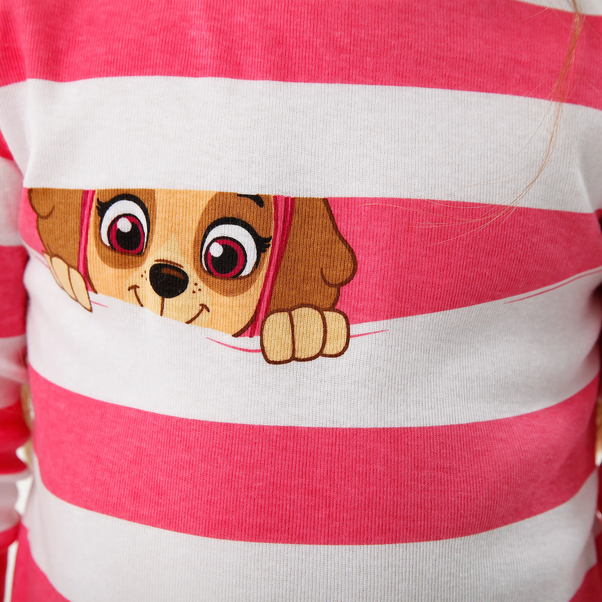 Paw Patrol Skye Pajamas