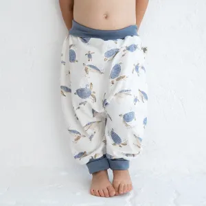 Turtles Blue